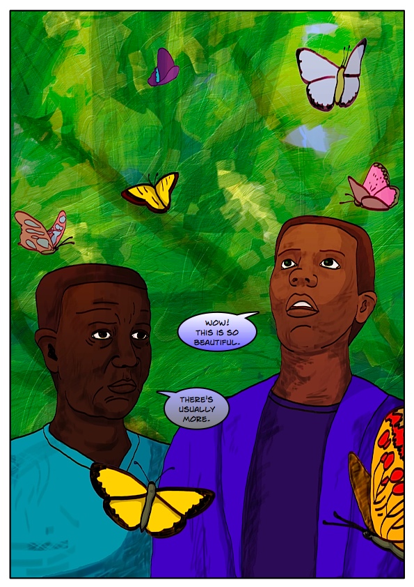 Butterflies in the forest